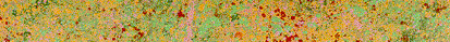 Community Commonwealth.info
